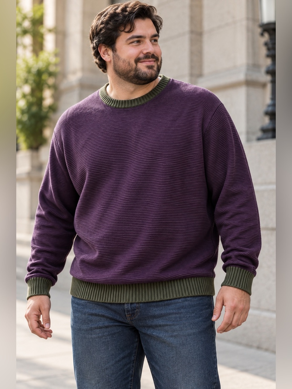 Levi’s Men’s XXL Purple Microstripe Cotton Crewneck Sweater